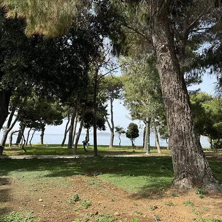 Oinousios Διαμέρισμα *